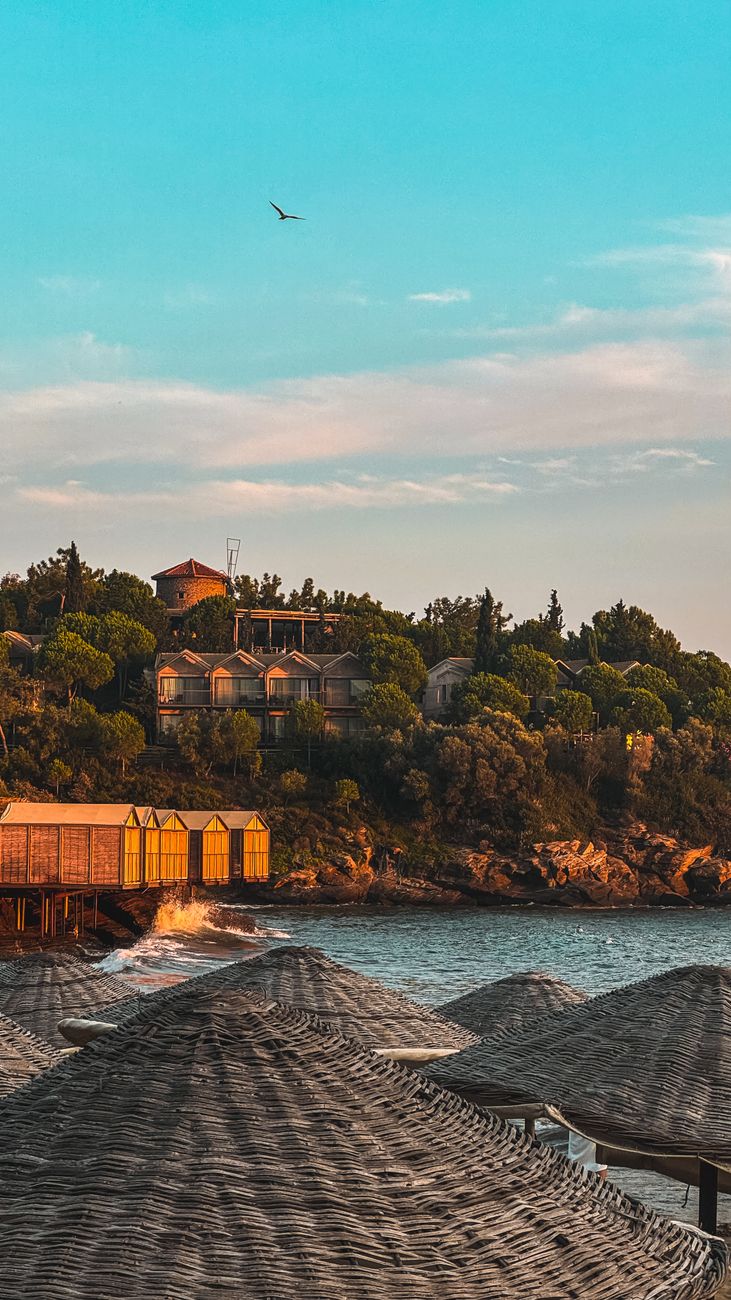 Belek'te palmiyeli sahil şeridi ve modern konut siteleri